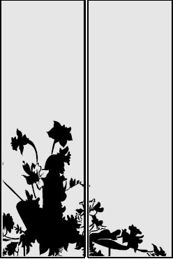 DG-02-0041