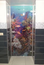 Стеклянные двери для душа, ванной и туалета